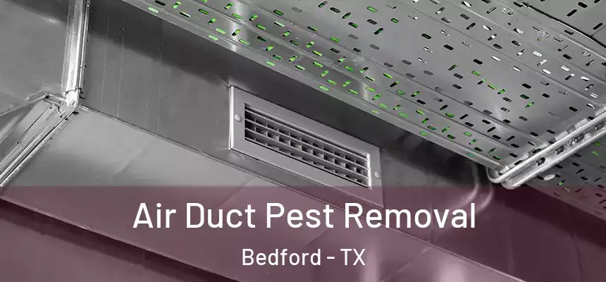  Air Duct Pest Removal Bedford - TX