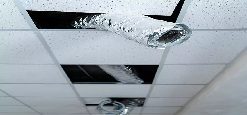 Affordable HVAC Sanitizing After Pest Removal in Bedford