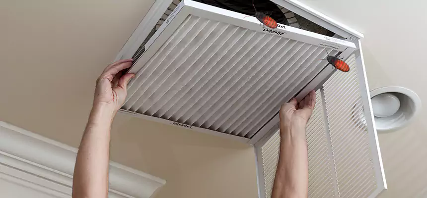Our Insect Removal from Air Ducts Services in Bedford, TX