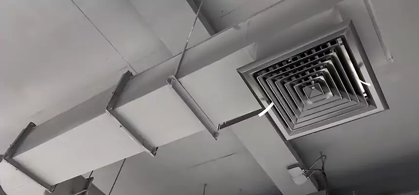 Our Pest Removal From Ducts Services in Bedford, TX