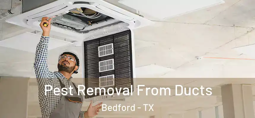  Pest Removal From Ducts Bedford - TX