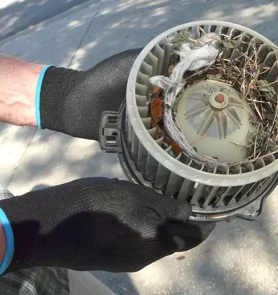 About Air Duct Mice Removal in Bedford, TX