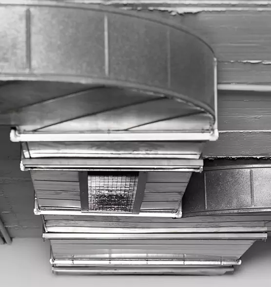 Professional Air Duct Pest Removal in Bedford, TX