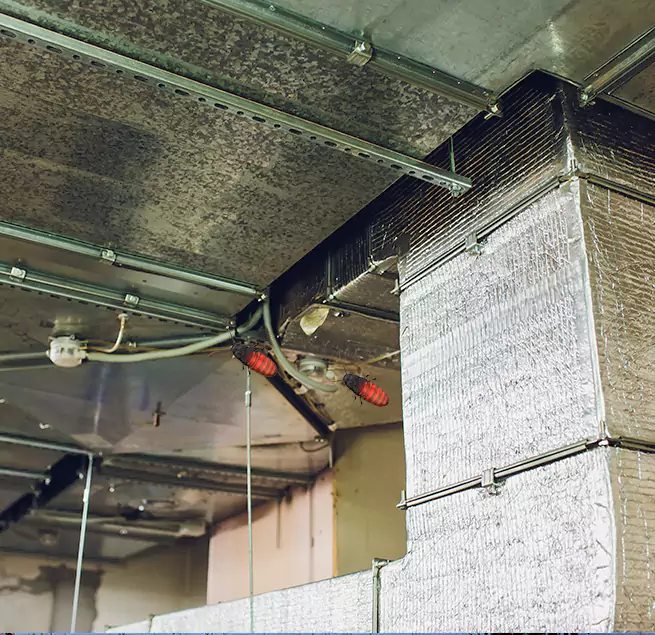 Why Homeowners & Businesses Trust Us in Bedford, TX?